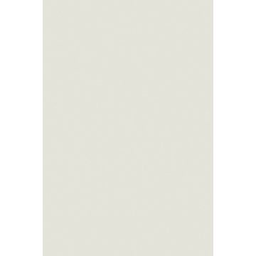 FALCO YM345 FS70 Hideg Szürke Fényes 2800x2050x18mm MDF