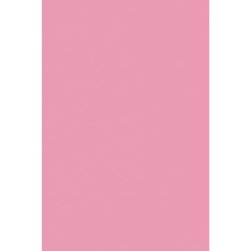 FALCO Y246 FS15 Vadrózsa 2800x2070x18mm Lam.flap