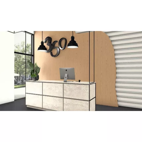 ML EGGER F129 PA 1.5 4100x920x19mm asztallap